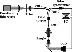 040505_1_041004jbo1.jpg