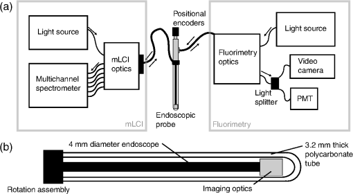 JBO_17_11_116014_f001.png