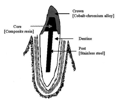 007202j.1.jpg